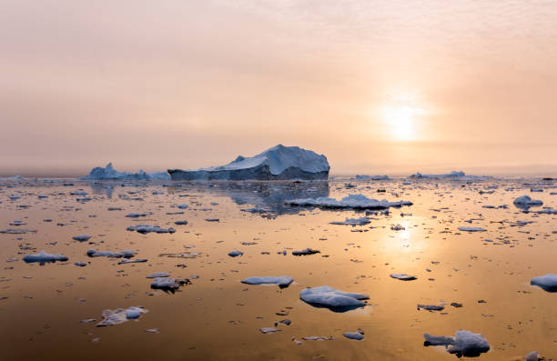 Iceberg near Greenland in the sunset Iceberg in Greenland on a beautiful evening in the sunset magical natural light. ice floe photos stock pictures, royalty-free photos & images