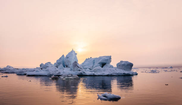 istock Iceberg on beautiful sea in the sunset. 1124563101