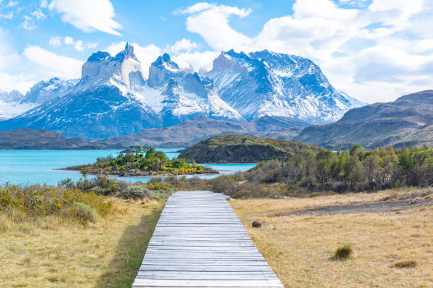 armadillo in torres del paine national park, chile - mountain mountain peak snow spring imagens e fotografias de stock