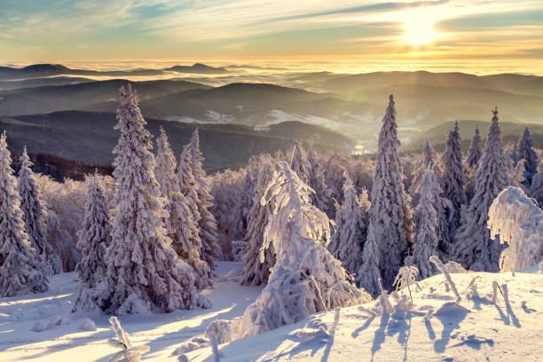 istock Sunrise in winter in the mountains. 1124564373