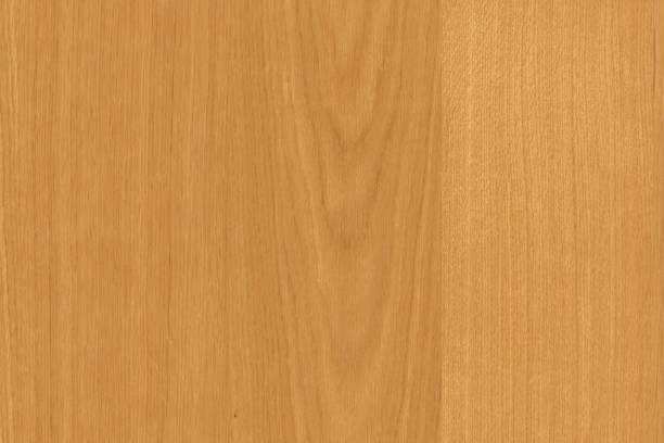 istock brown oak tree timber wood surface texture background wallpaper 1124567417