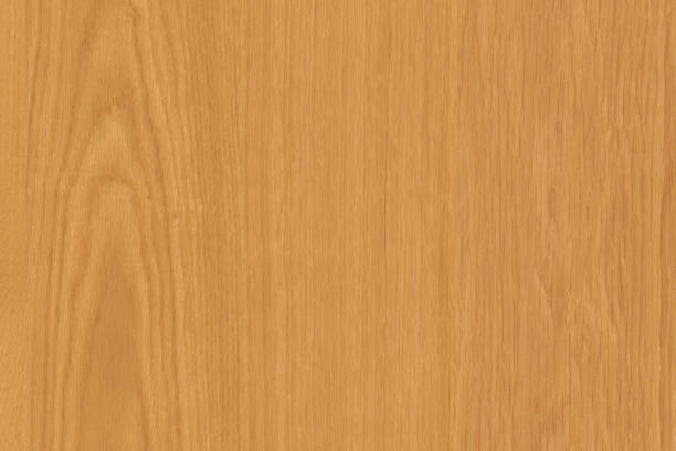 istock brown oak tree timber wood surface texture background wallpaper 1124570203