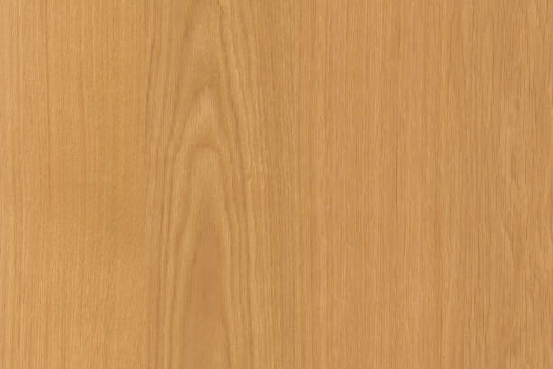 istock brown oak tree timber wood surface texture background wallpaper 1124570432