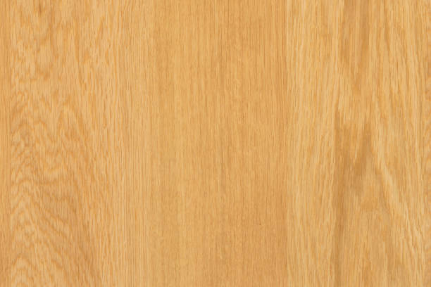 istock brown oak tree timber wood surface texture background wallpaper 1124570581