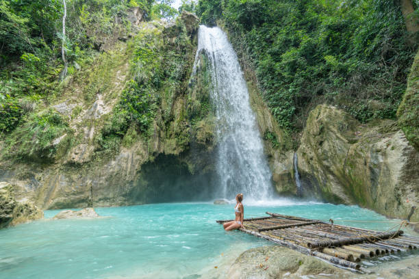 young woman contemplating beautiful waterfall in tropical rainforest - number of people human gender people waterfall imagens e fotografias de stock