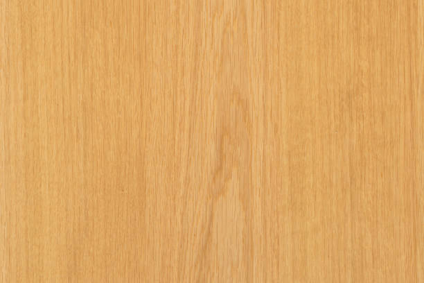 istock brown oak tree timber wood surface texture background wallpaper 1124572696
