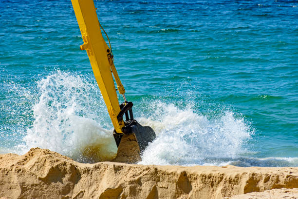 Stone shield against waves ,sandy Beach and Palm Tree in Canary Island Close up,Tenerife,Spain,Nikon D850