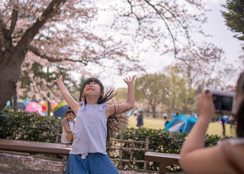 Little girls throwing fallen cherry petals, younger sister taking photos and the youngest sister looking at them