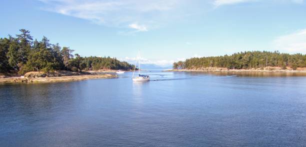 istock A medium sized sailboat sailing alone through the completely calm ocean, and past a few small islands on a beautiful sunny day in the Gulf Islands of British Columbia, Canada. 1124579284