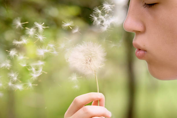 istock Teenage boy blowing up a dandelion's seeds 1124590973