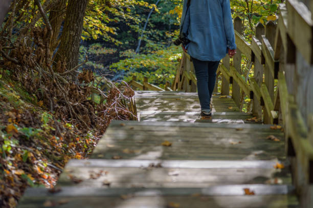 istock Woman with camera walking in Autumn forest 1124596082