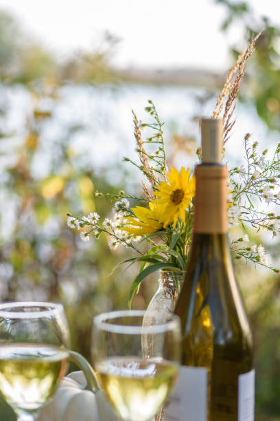 white wine and wildflowers on romantic picnic - date night imagens e fotografias de stock