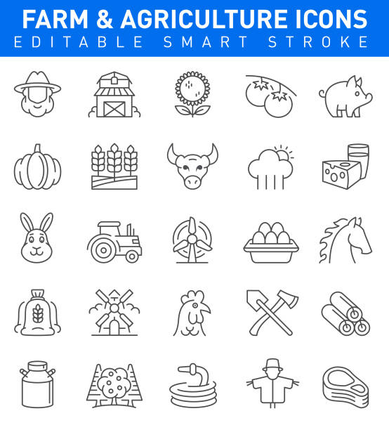 illustrazioni stock, clip art, cartoni animati e icone di tendenza di icone farm & agriculture. tratto modificabile - campo di pomodori