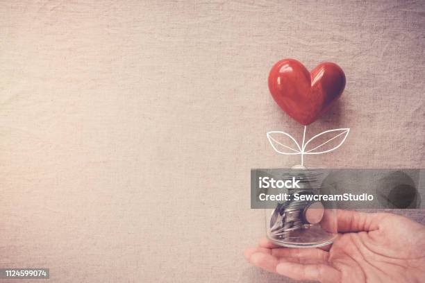 Hand Holding A Jar Of Heart Tree Growing On Money Coins Social Responsibility And Donation Concept Stock Photo - Download Image Now