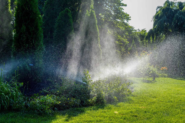 istock Professionally designed sprinkler system in park in sunlight 1124599090