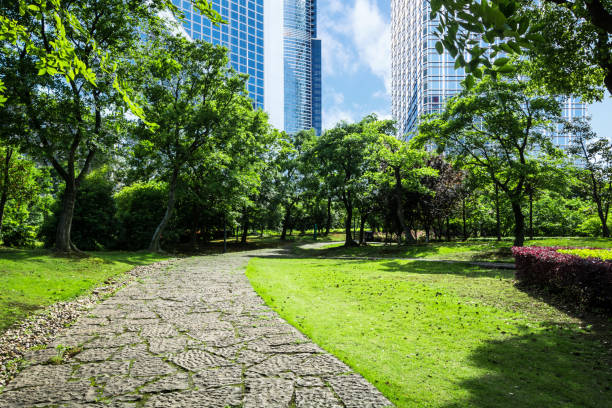 istock Beautiful park at a sunny day 1124605370