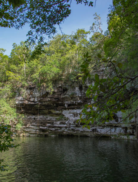 istock Small secluded cenote in Mexico 1124607245