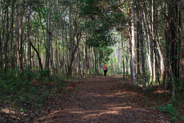 istock Asian woman walking on dirt trail in forest 1124609590