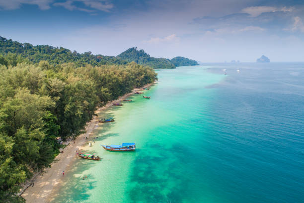 letecký pohled natočil tropické krásné plážové moře s mangrovovým lesem v jižním thajsku - ko samui - stock snímky, obrázky a fotky