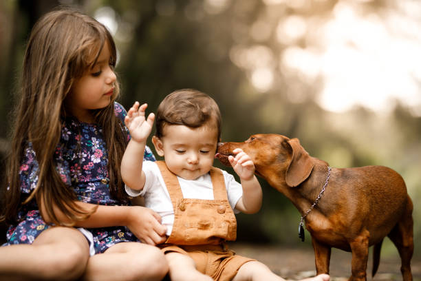 istock Cute dog licking baby 1124609717