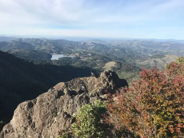 Photo of View From Mt. Tam