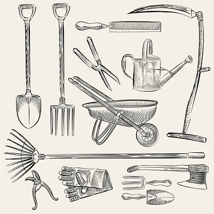 Illustration of a set of gardening tools