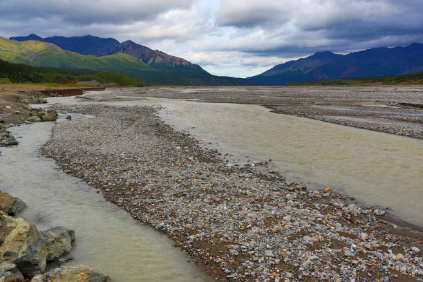 istock Rainy Denali National Park without Denali 1124613161