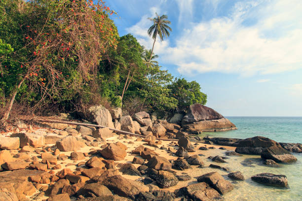 istock the island kechil( the Perhentian Island),Malaysia. 1124618414