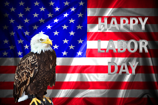 Happy Labor day banner, american patriotic background. American Bald Eagle - symbol of america -with flag.