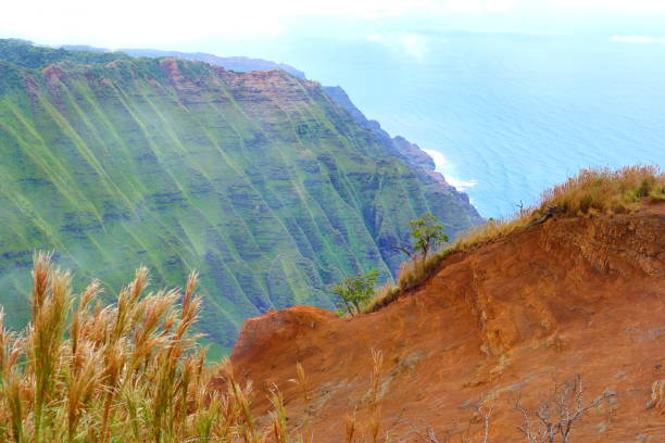 kauai green mountains in fog - kalepa ridge dopo la pioggia - mahaulepu beach foto e immagini stock