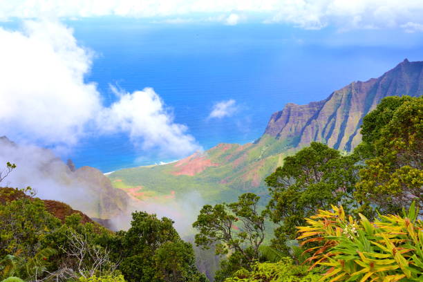kauai verdes montañas en la niebla - kalepa ridge después de la lluvia - mahaulepu beach fotografías e imágenes de stock