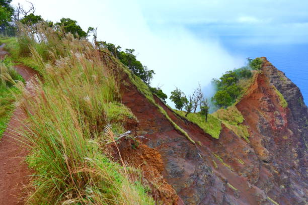 kauai green mountains in fog - kalepa ridge dopo la pioggia - mahaulepu beach foto e immagini stock