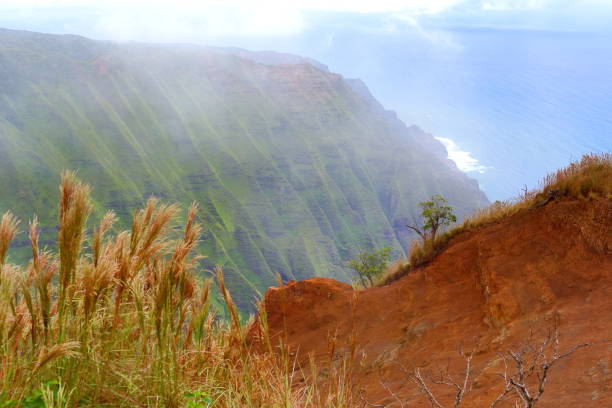 kauai verdes montañas en la niebla - kalepa ridge después de la lluvia - mahaulepu beach fotografías e imágenes de stock