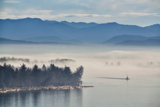 Fraser river in the morning, BC, Canada Foggy Fraser river seen from Surrey in winter. surrey british columbia stock pictures, royalty-free photos & images