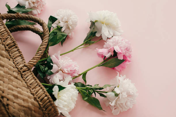 White and pink peonies growing from stylish straw rustic bag  on pastel pink paper, creative flat lay. Hello spring concept. International Women's Day. Happy mothers day, floral greeting card