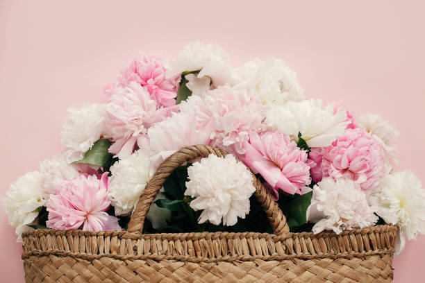 istock Hello spring, creative image with copy space. Stylish straw rustic bag with white and pink peonies on pastel pink paper, flat lay. Summer vacation concept. International Women's Day. 1124634526
