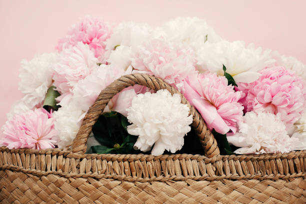 istock White and pink peonies growing from stylish straw rustic bag  on pastel pink paper, creative flat lay. Hello spring concept. International Women's Day. Happy mothers day, floral greeting card 1124634729