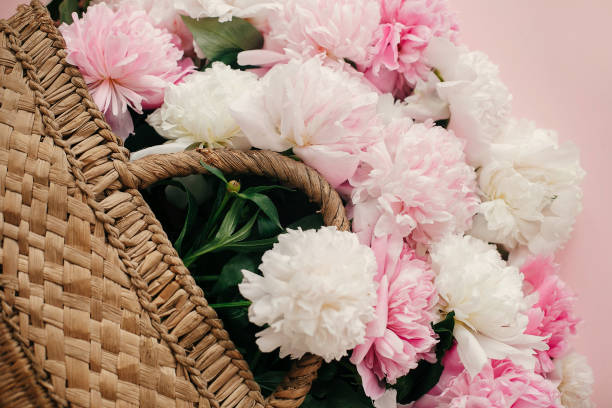 istock White and pink peonies growing from stylish straw rustic bag  on pastel pink paper, creative flat lay. Hello spring concept. International Women's Day. Happy mothers day, floral greeting card 1124635344