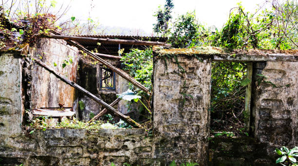 Old abandoned house overgrown with weeds.