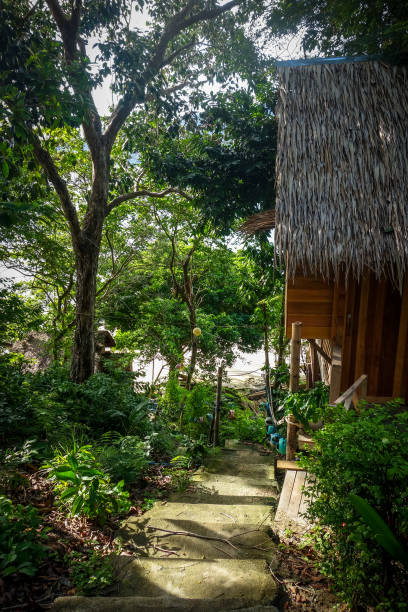 istock Traditional tropical hut in Koh Lipe, Thailand 1124638296