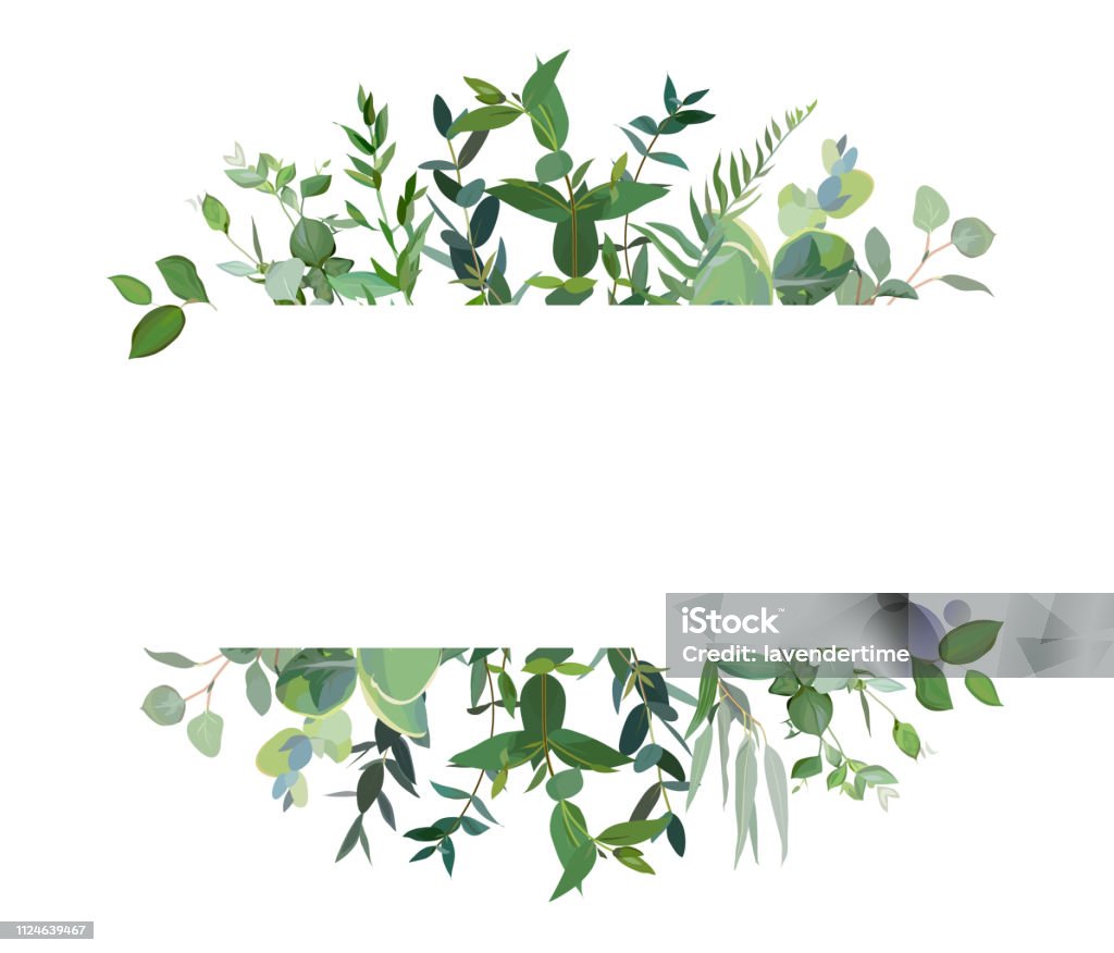 Horizontale botanische Vektor Design Banner. - Lizenzfrei Blatt - Pflanzenbestandteile Vektorgrafik