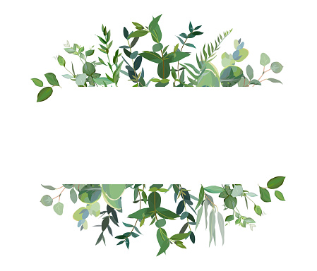 Horizontal botanical vector design banner. Eucalyptus, wildflowers, various plants, leaves and herbs.Natural card or frame. Greenery wedding simple invitation. Watercolor style. Isolated and editable