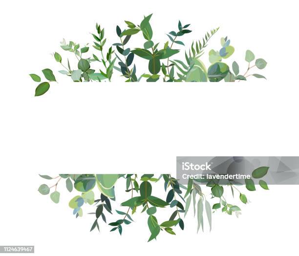 Horizontal Botanical Vector Design Banner Stock Illustration - Download Image Now - Leaf, Lush Foliage, Border - Frame