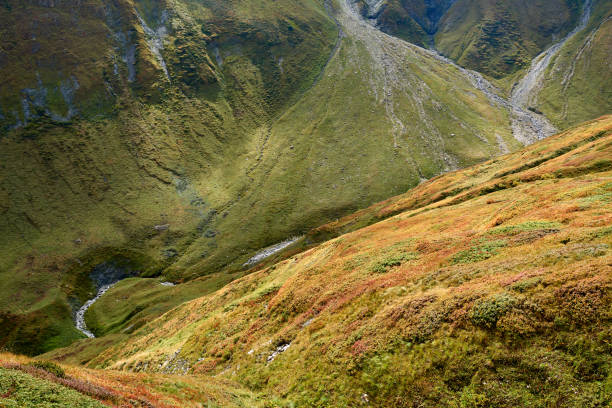 istock Swiss Alps Landform and Terrain 1124642049