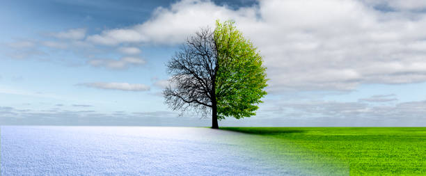 Spring winter change Spring winter change in a landscape with tree season stock pictures, royalty-free photos & images