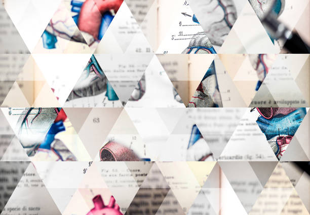 istock Abstract triangle mosaic background: Magnifying glass on antique anatomy book 1124646798