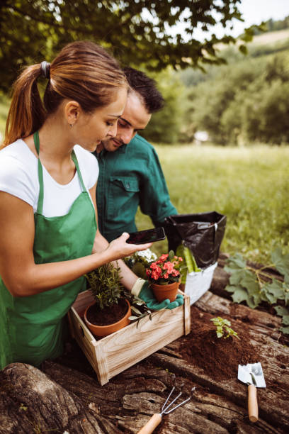 istock taking pics of the plant while they do gardening 1124647983