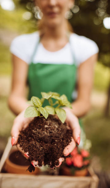 istock taking care of the plant 1124648095