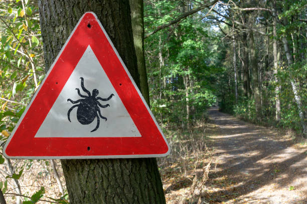 tick insect warning sign in forest stock photo