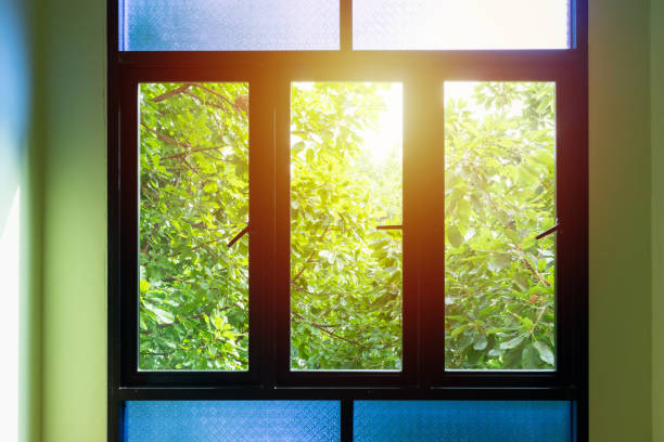 istock black metallic window frame with green tree nature background 1124650750